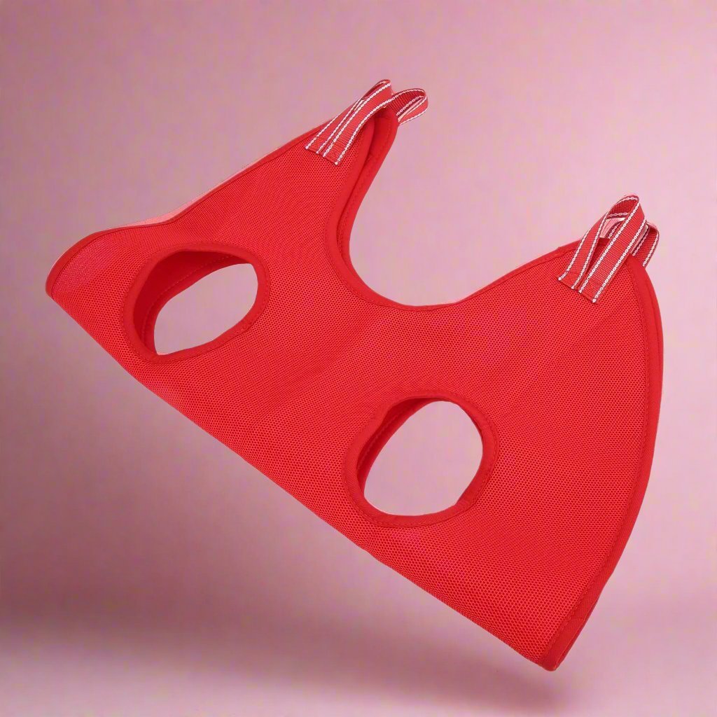 GroomHamac™ - Rouge - royaume chats